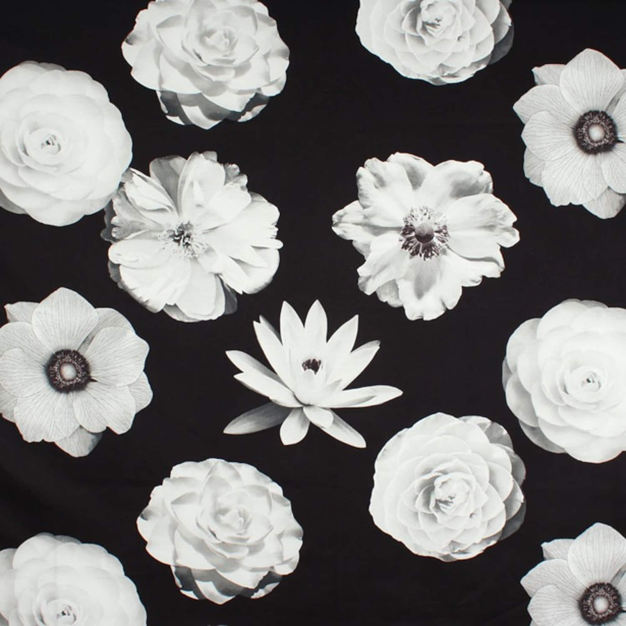 Foto Fleur Onyx